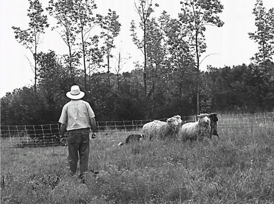 Farming and the Return of the Local Economy